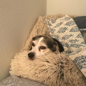 Meet your Posher, Kathie